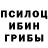 Галлюциногенные грибы GOLDEN TEACHER Andrei Ljadov