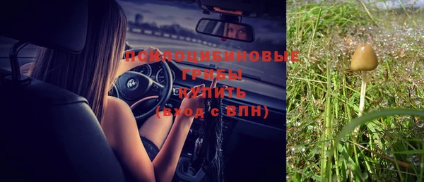 2c-b Балахна