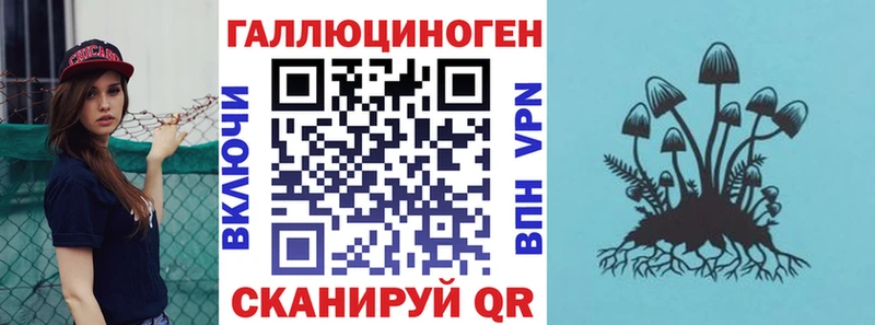 мега ТОР Томмот Галлюциногенные грибы GOLDEN TEACHER купить